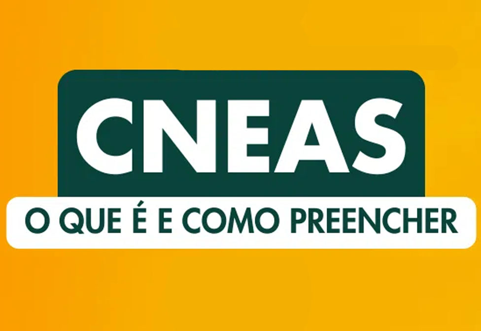 Image of Como cadastrar sua ONG no CNEAS e quais documentos você precisa