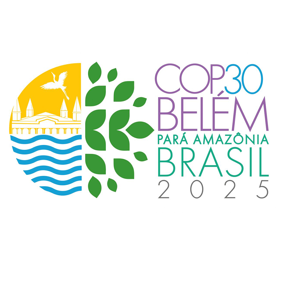 Image of A COP 30 como Catalisador de Oportunidades para o Terceiro Setor no Brasil